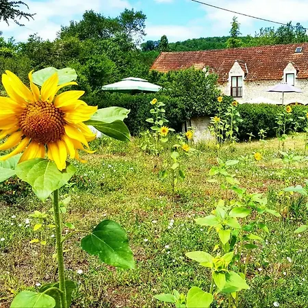 La Combe Du Moulin Casa vacanze *